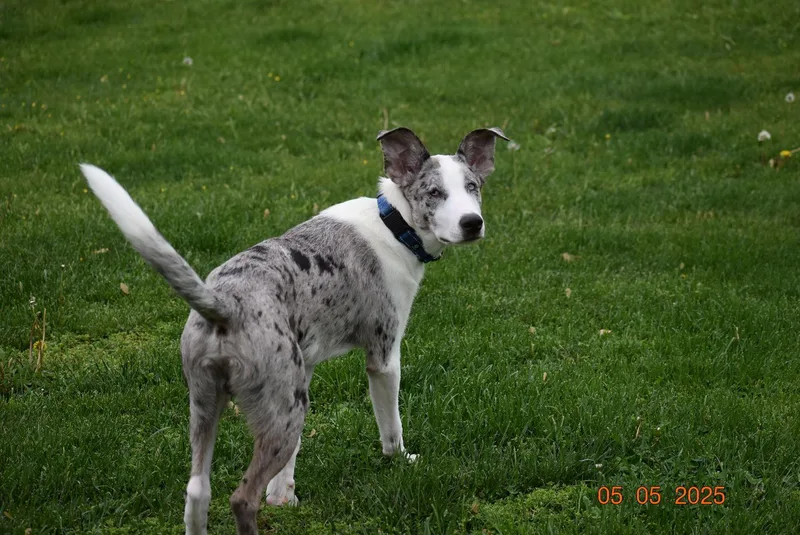 Wranglerfriendly! thumbnail 5