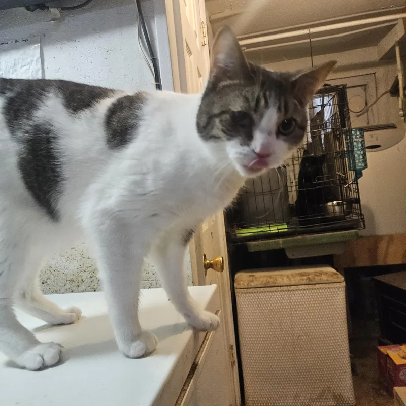 Sparkles thumbnail 2