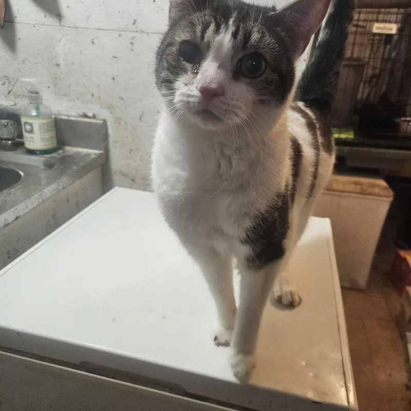 Sparkles thumbnail 3