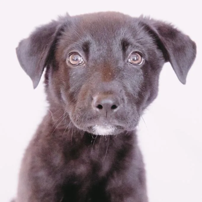 Hella D Arriving thumbnail 2