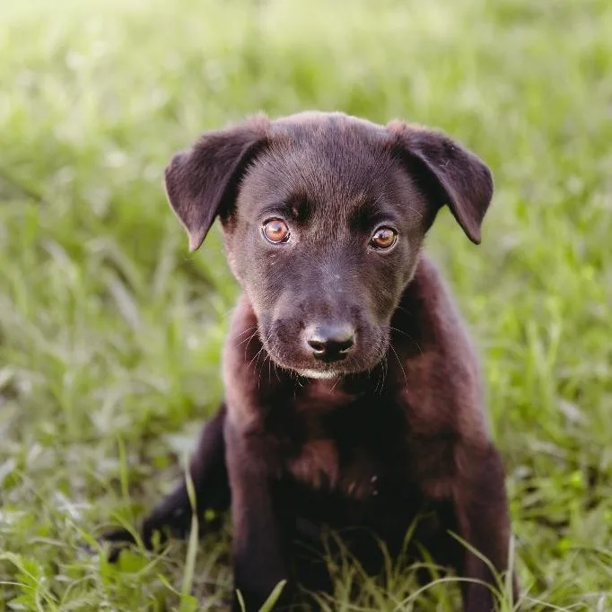 Hella D Arriving thumbnail 4