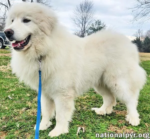 Perry In Ky  thumbnail 3