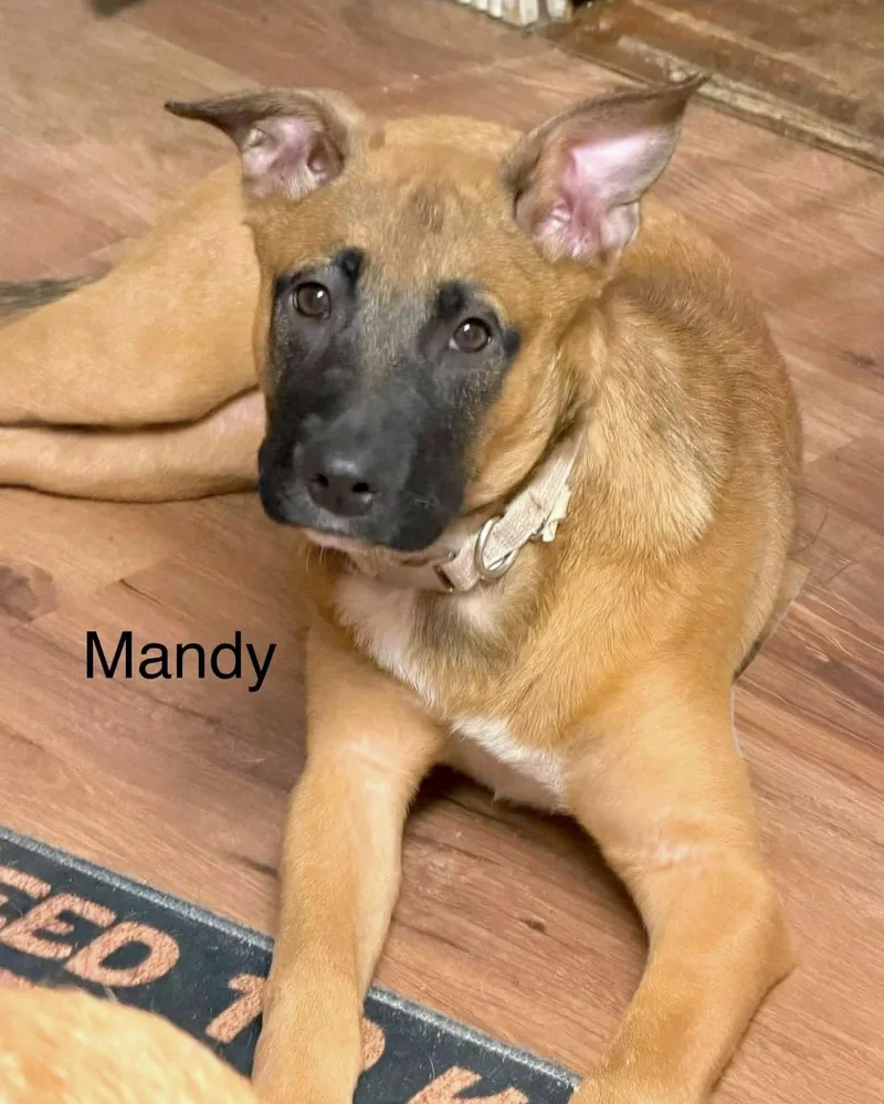 Mandy thumbnail 2