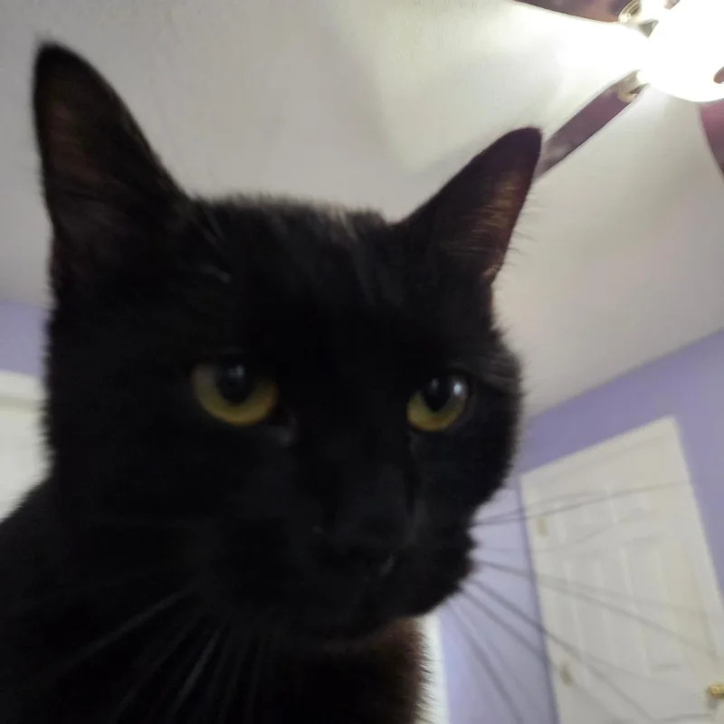 Chrissy thumbnail 3