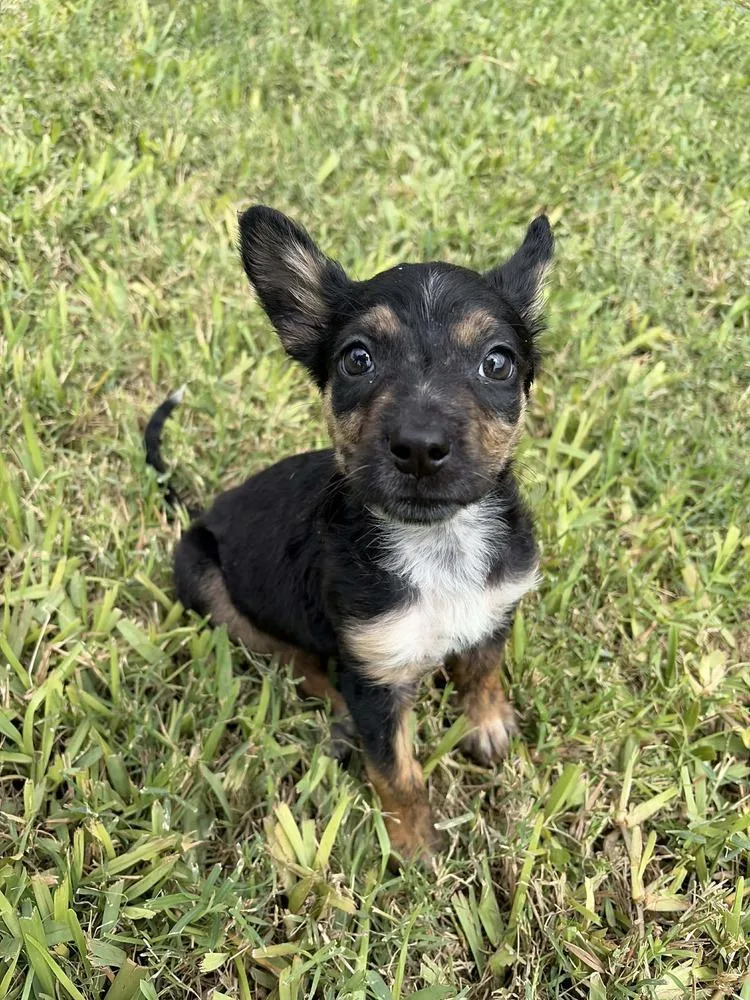 Sprinkles thumbnail 2