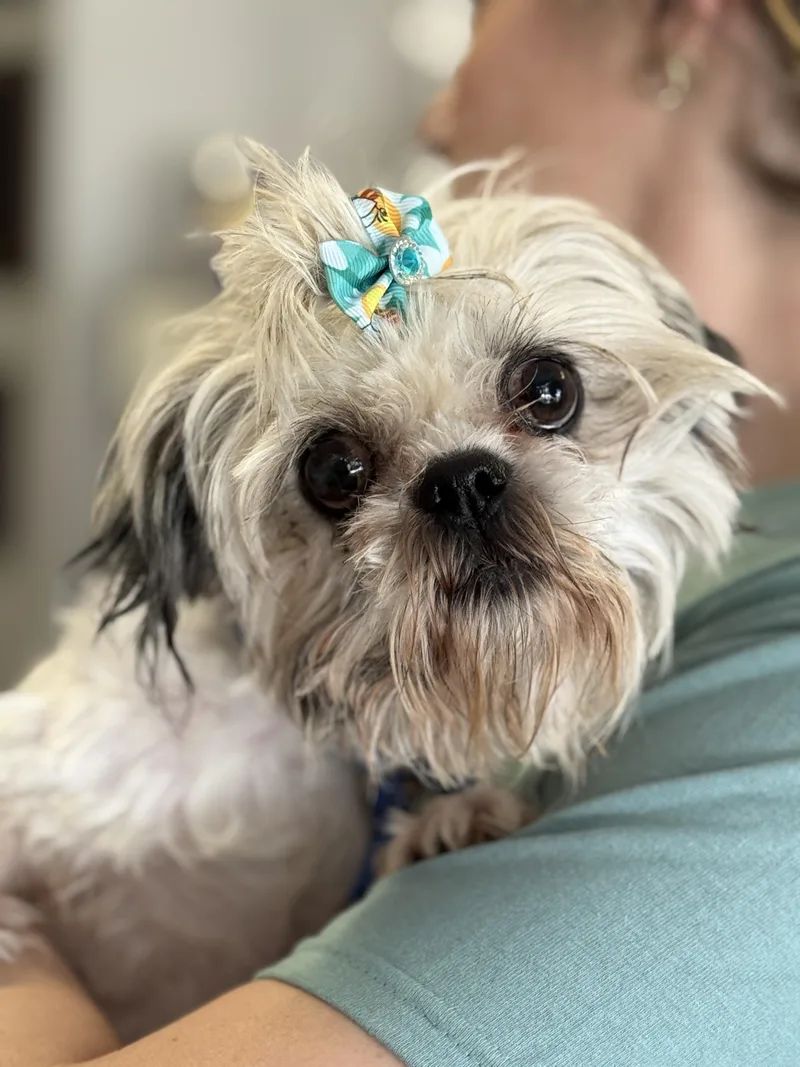 Maybelle thumbnail 3