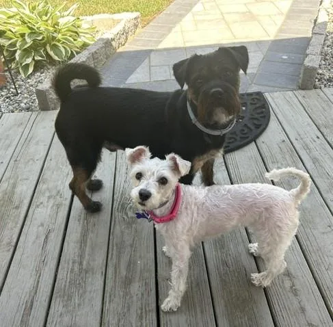 Mickell And Khloe