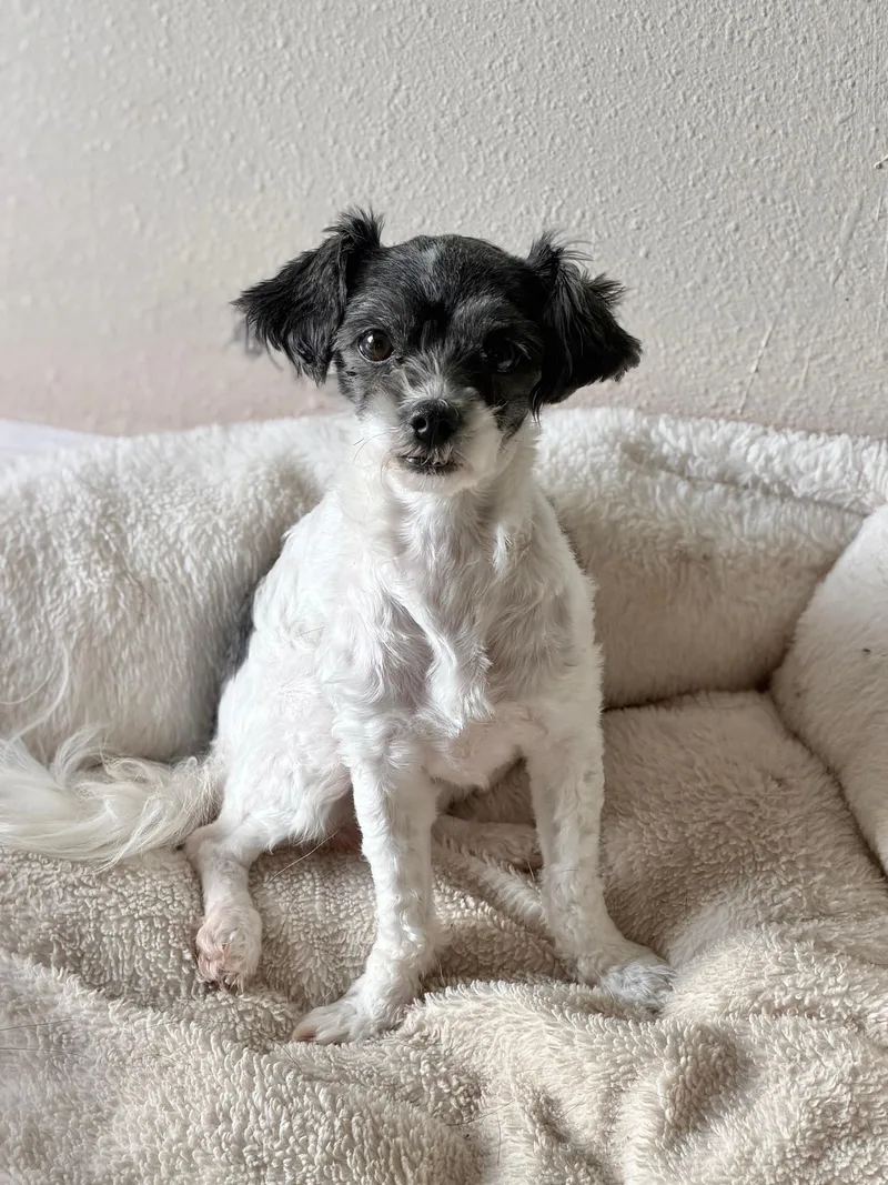 Juliette thumbnail 2