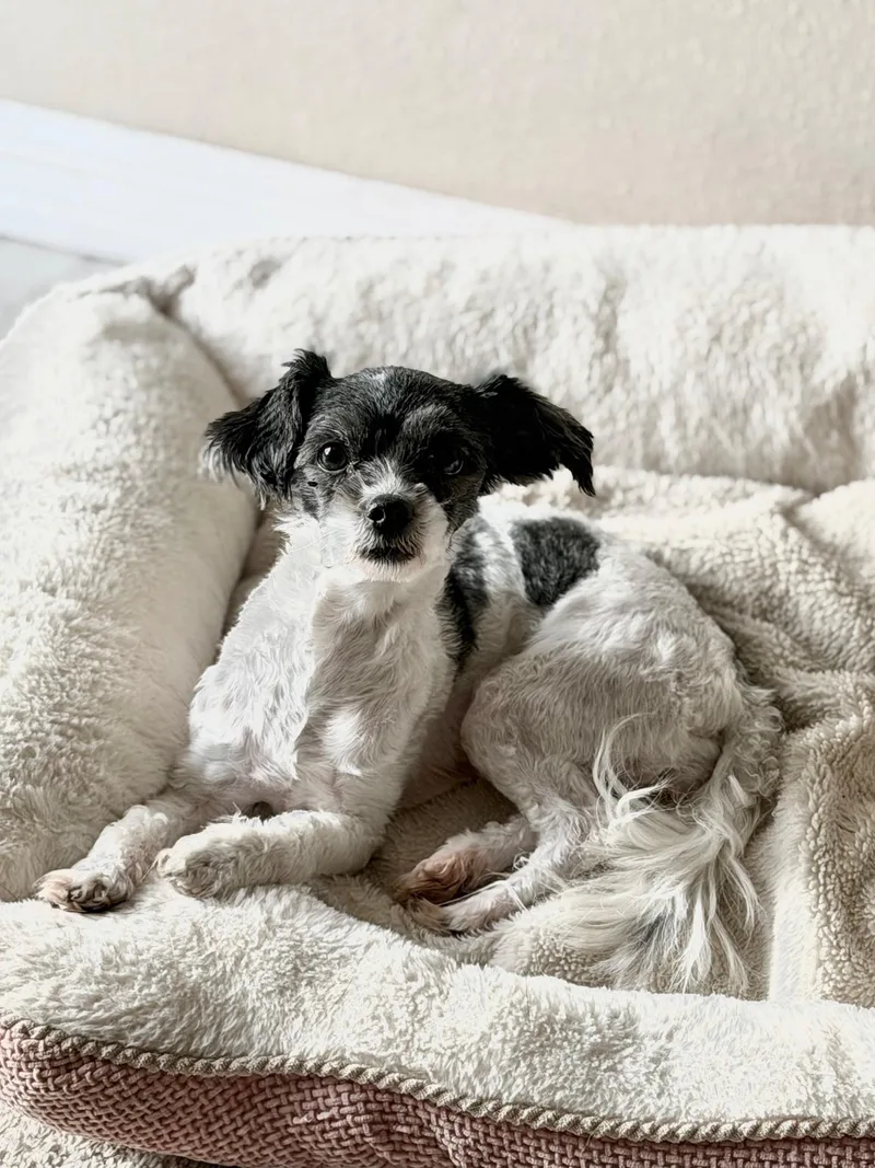 Juliette thumbnail 3