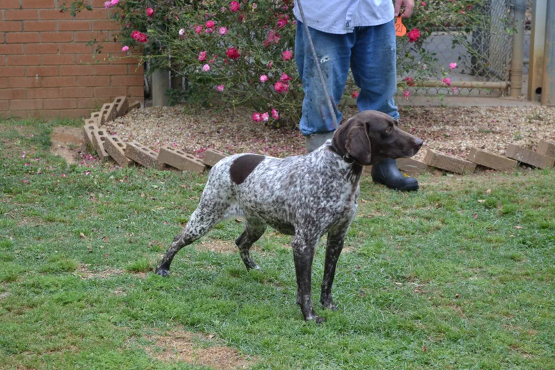 Buttons & Bows thumbnail 2