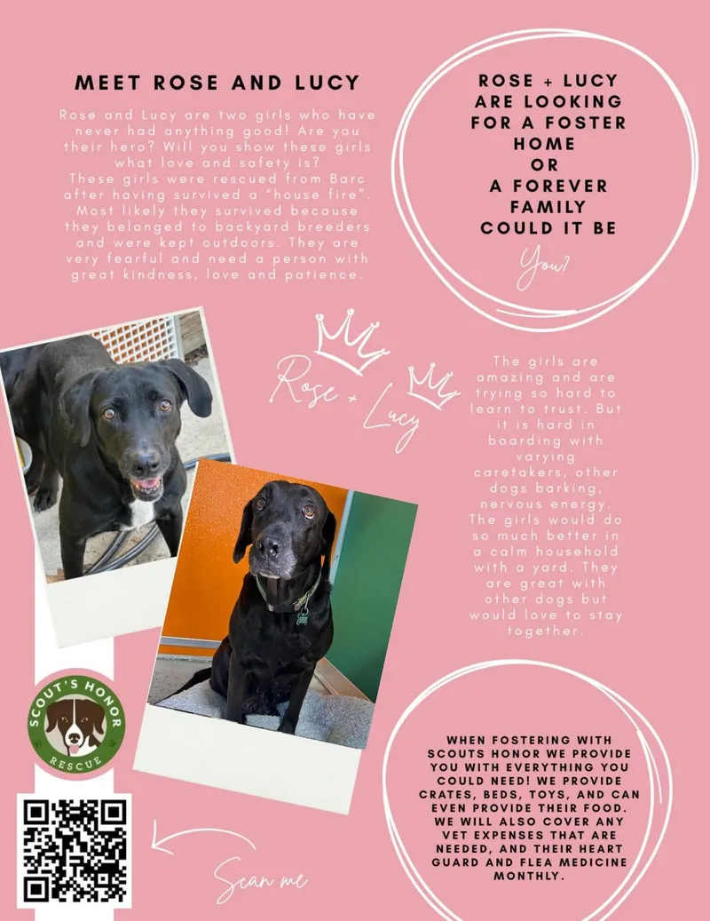 Lucy & Rose thumbnail 3