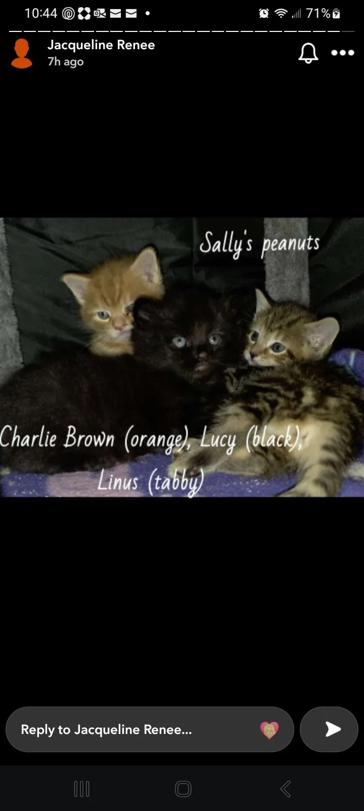 Sally of the Peanuts thumbnail 2