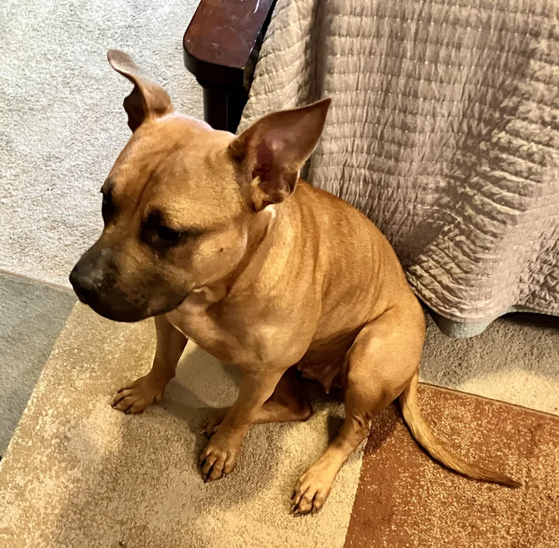 ~ Courtesy ~ Nova thumbnail 2