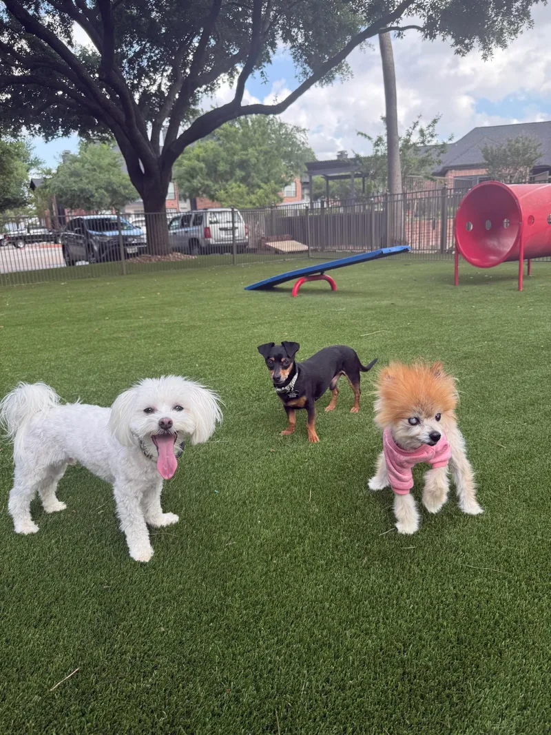 Lisa Vanderpup thumbnail 2