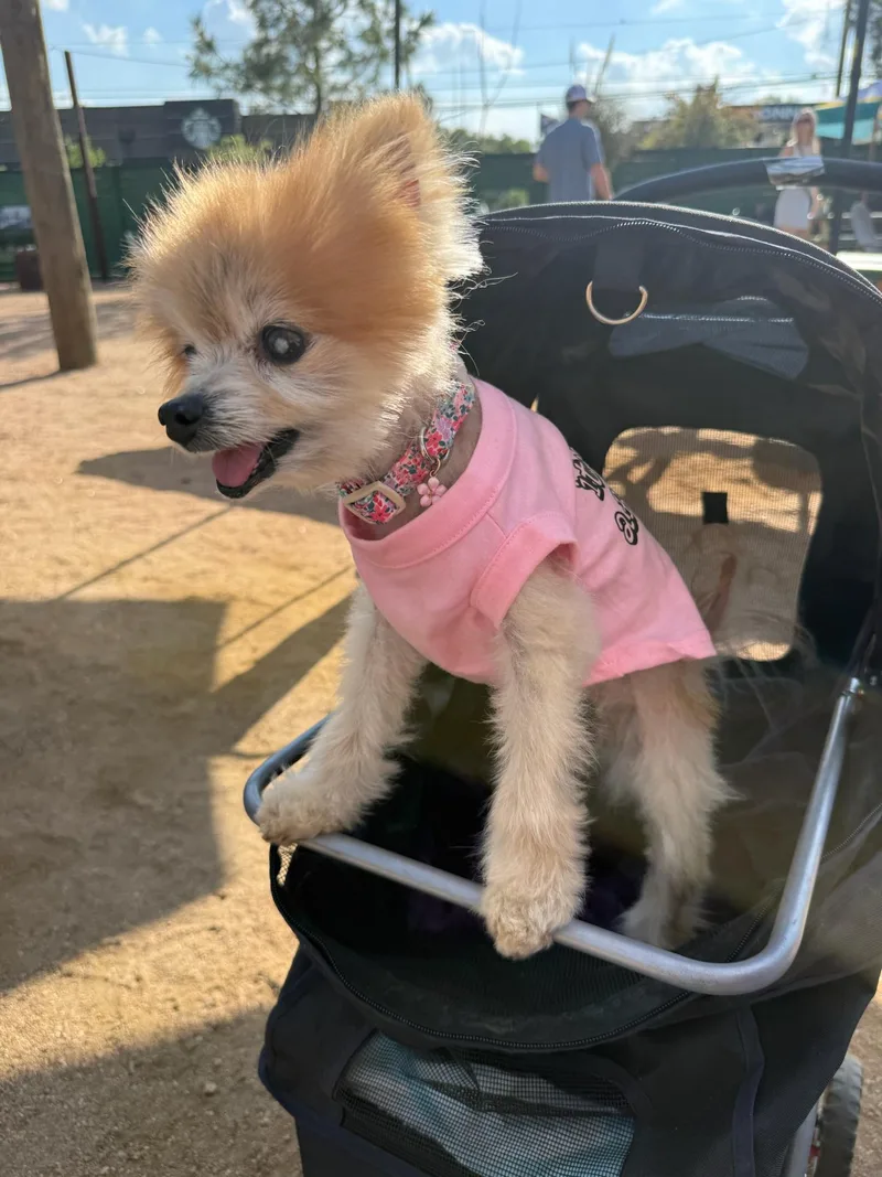 Lisa Vanderpup thumbnail 3