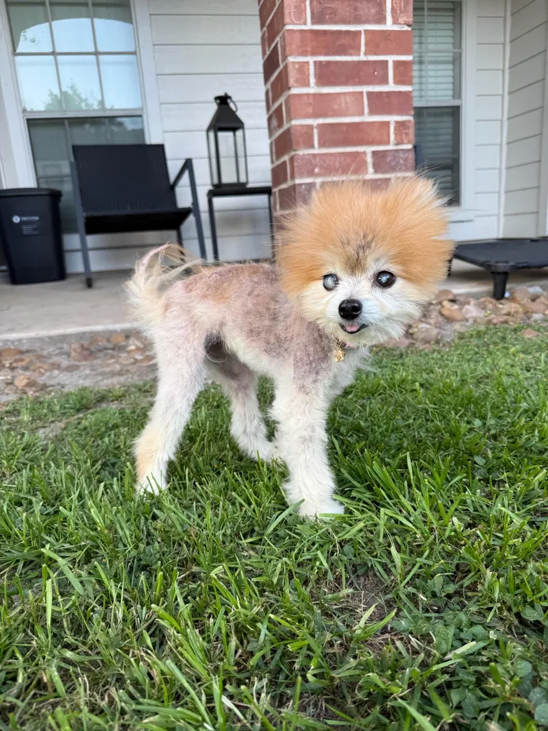 Lisa Vanderpup thumbnail 4