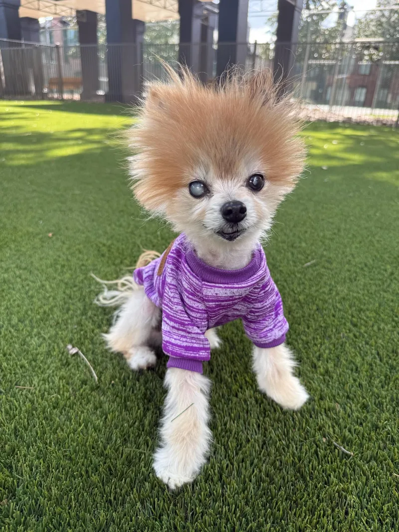 Lisa Vanderpup thumbnail 5