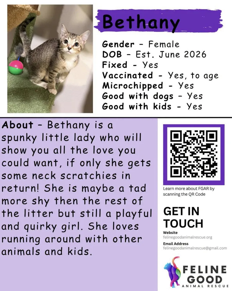 Bethany thumbnail 4