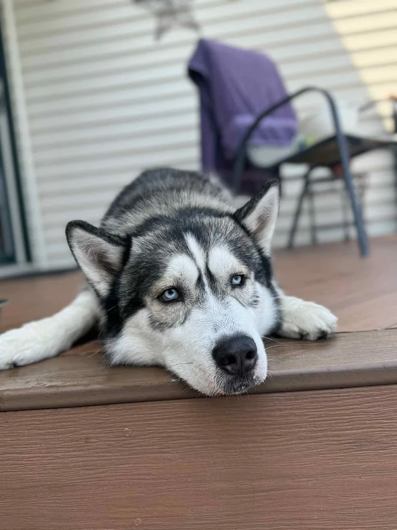 Baltimore thumbnail 2