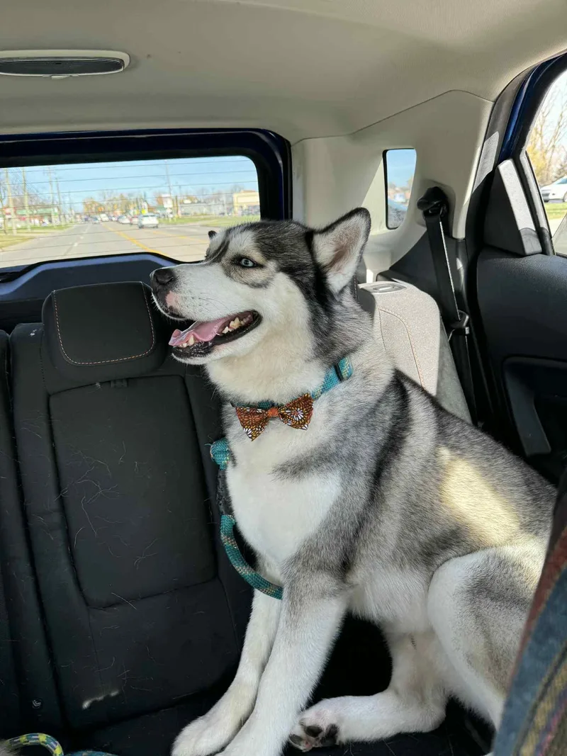 Baltimore thumbnail 3