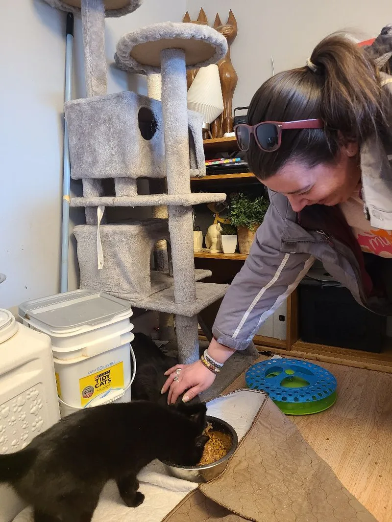 Milkdud >>the Rice Lake thumbnail 2