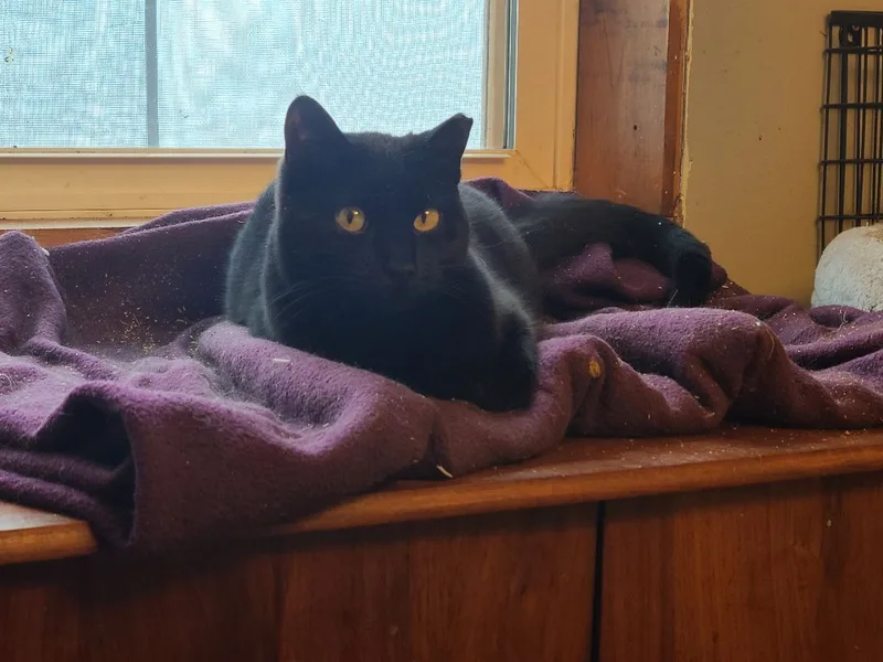 Milkdud >>the Rice Lake thumbnail 3