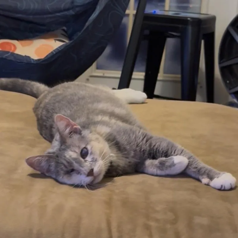 Elle Driver thumbnail 2