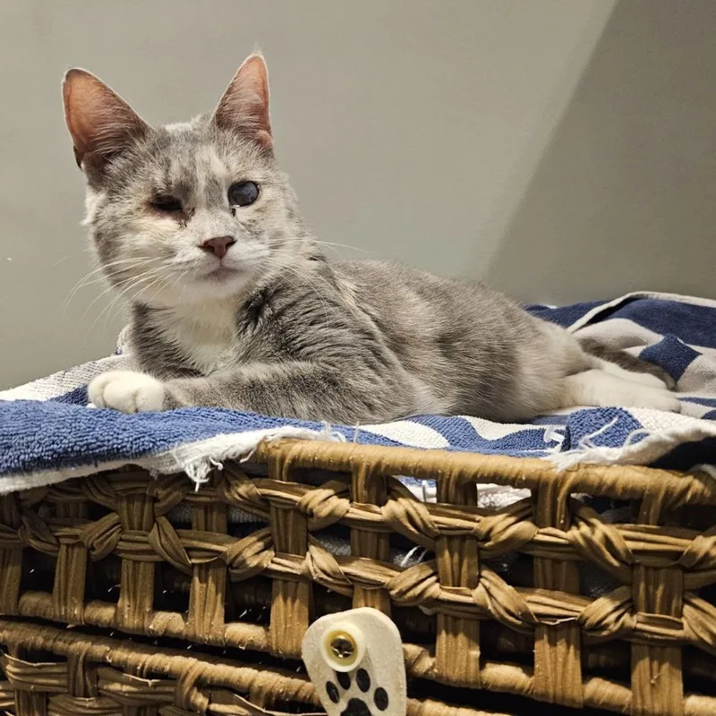 Elle Driver thumbnail 3