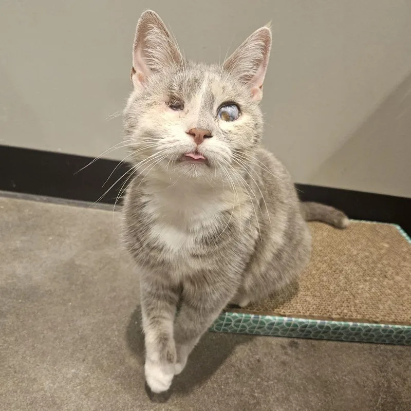 Elle Driver thumbnail 5