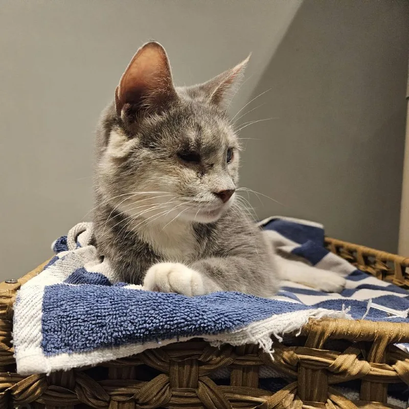 Elle Driver thumbnail 6