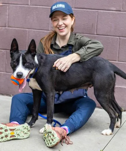 An adult large-sized female Mixed Breed dog named Entree for adoption in Chamblee, GA