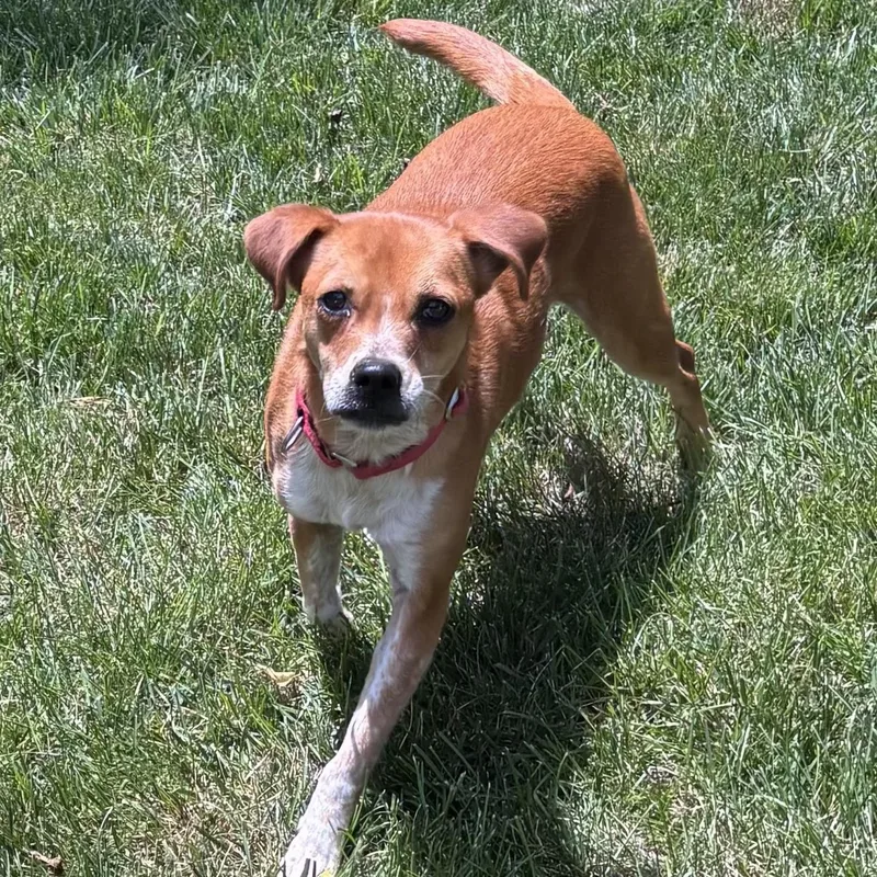 Livia Alastair thumbnail 2