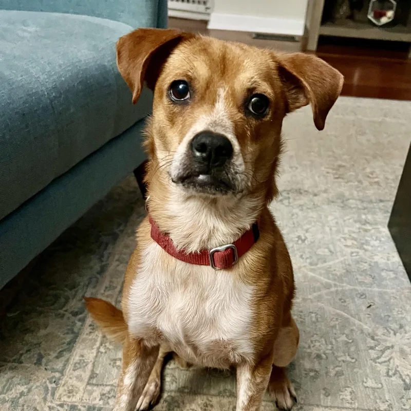 Livia Alastair thumbnail 4