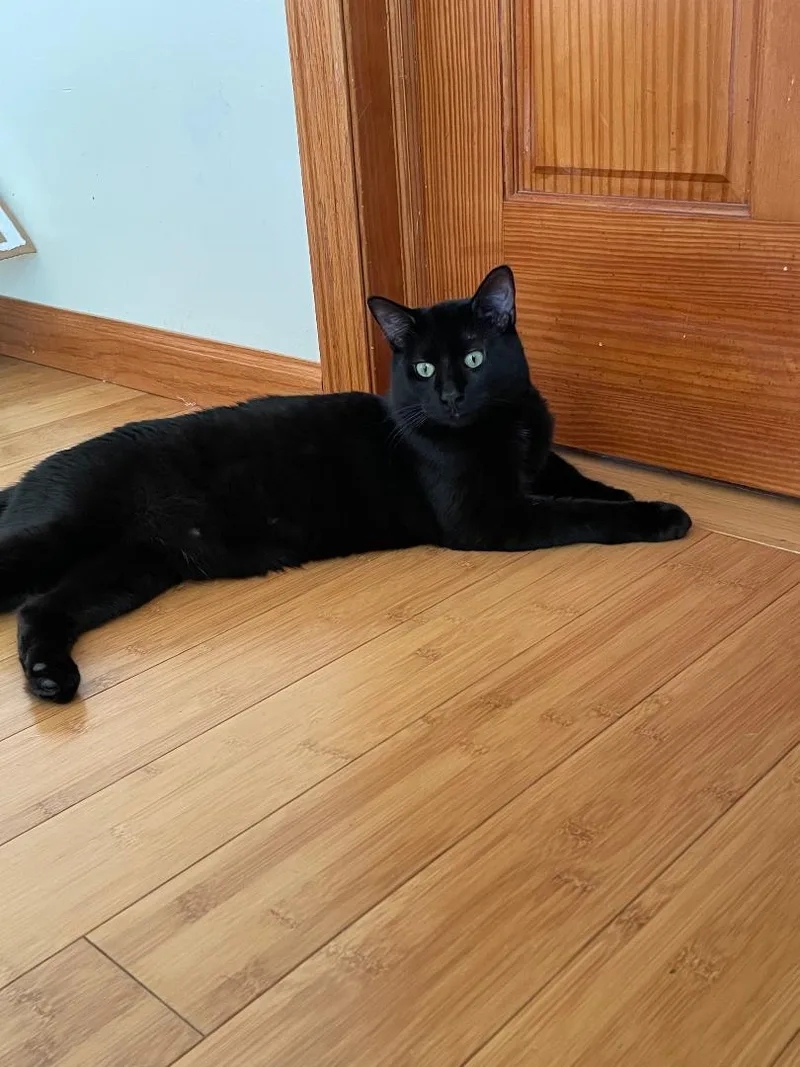 Winston Fromage thumbnail 2