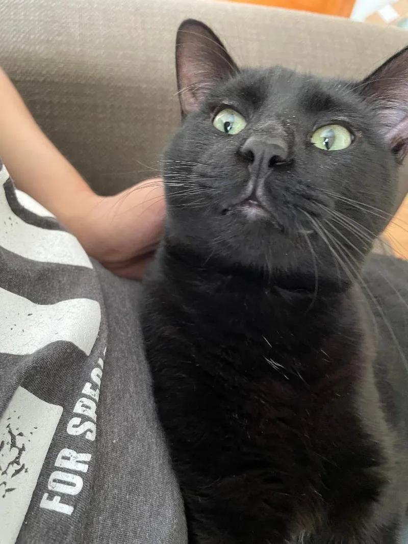 Winston Fromage thumbnail 3