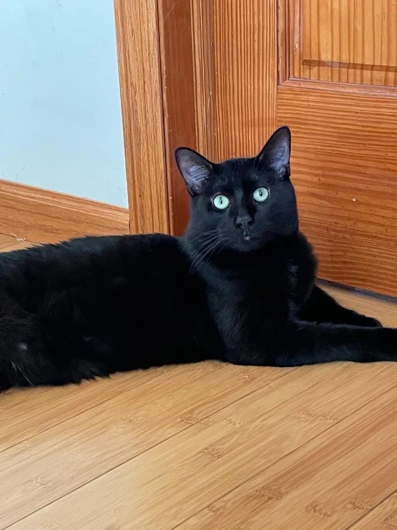 Winston Fromage thumbnail 4