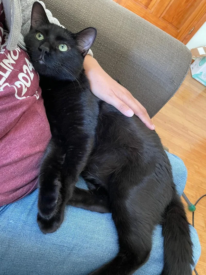 Winston Fromage thumbnail 5