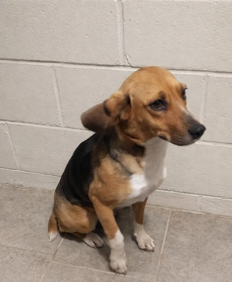 Lila Mae Hoping You thumbnail 2