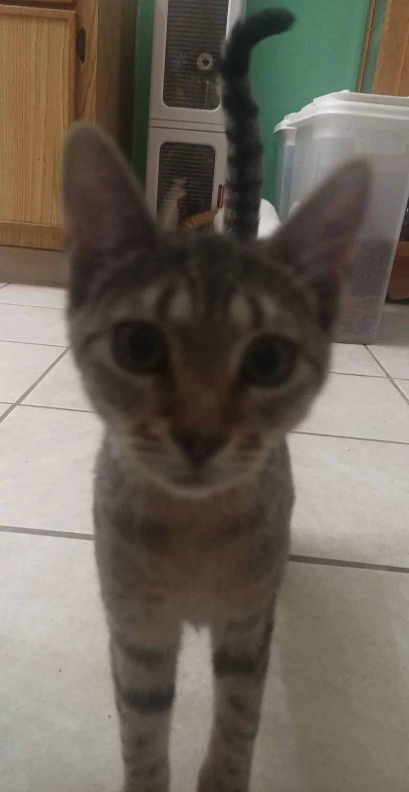 Loretta Durkin thumbnail 2