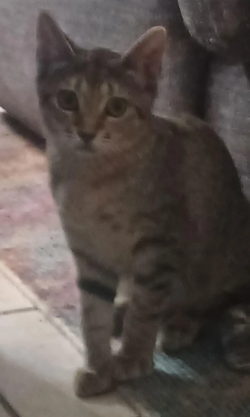 Loretta Durkin thumbnail 3