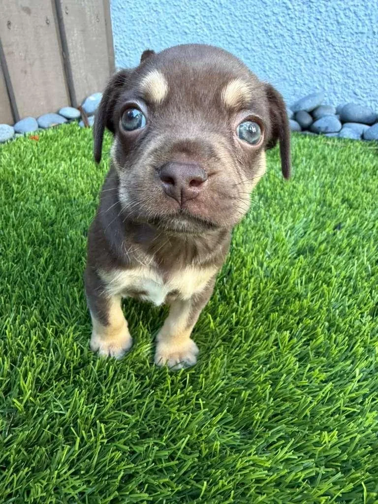 Nitrogen thumbnail 2