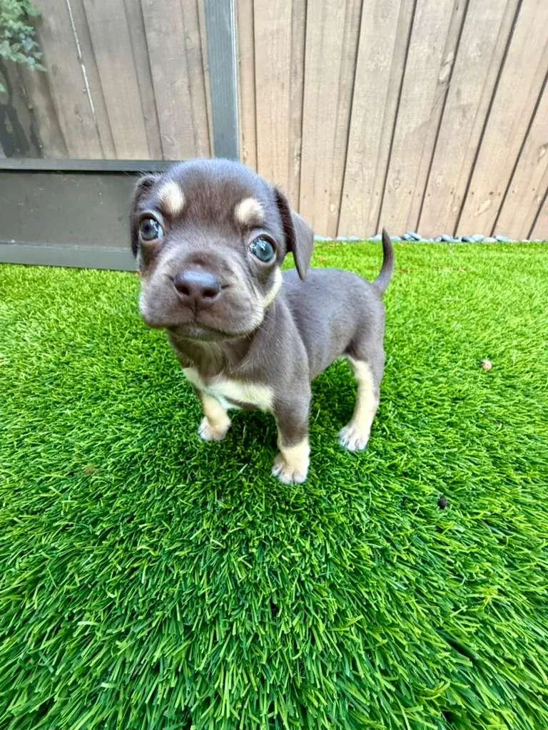 Nitrogen thumbnail 3