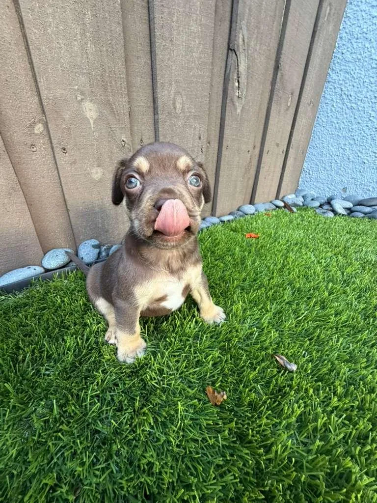 Nitrogen thumbnail 4