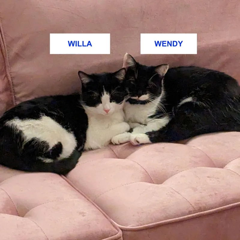 Wendy Rockbridge thumbnail 4