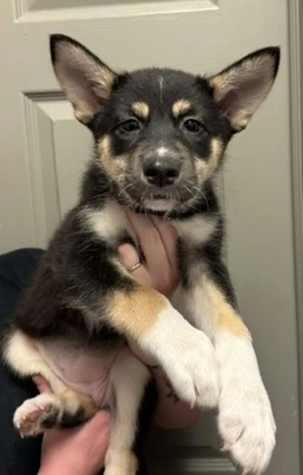Mia