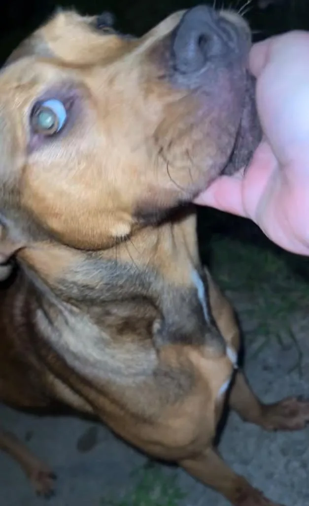 Janie thumbnail 3