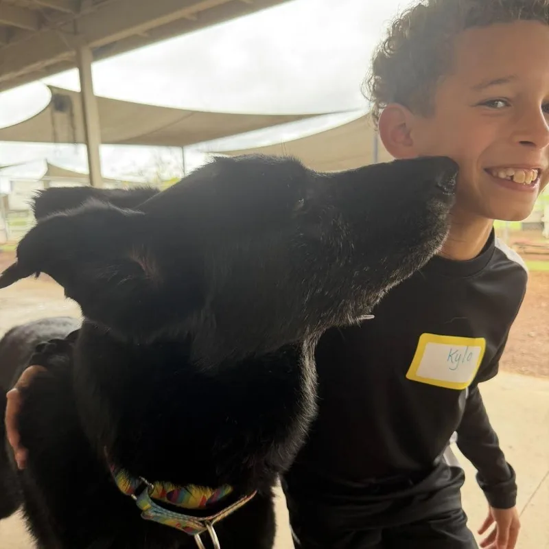 Milton Darigold thumbnail 6