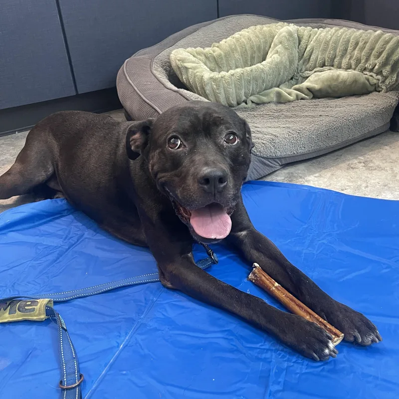 Bryon Cm thumbnail 2