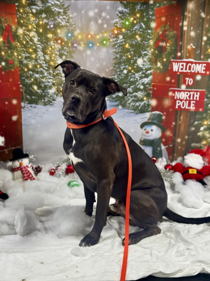 Bryon Cm thumbnail 3