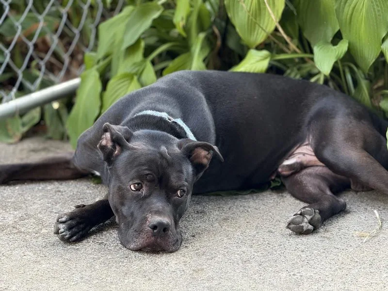 Bryon Cm thumbnail 4